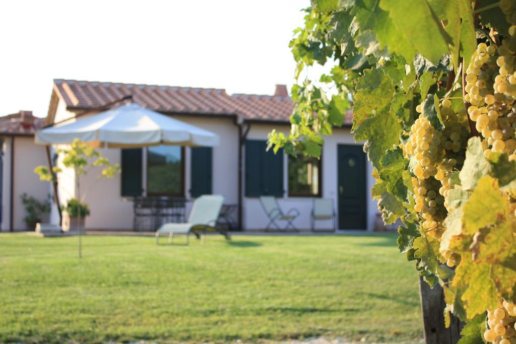 I Sicomori - Seme Di Carota - Glamping E Appartamenti Con Piscina A Saturnia Exterior foto